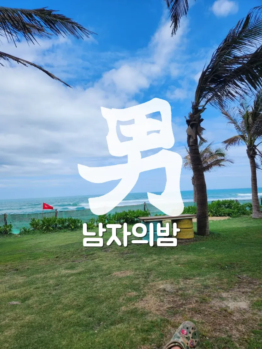 나트랑 해변 야자수 오션뷰 낮 풍경